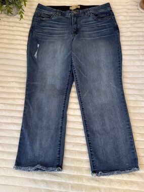 Democracy AB Technology jeans size 16